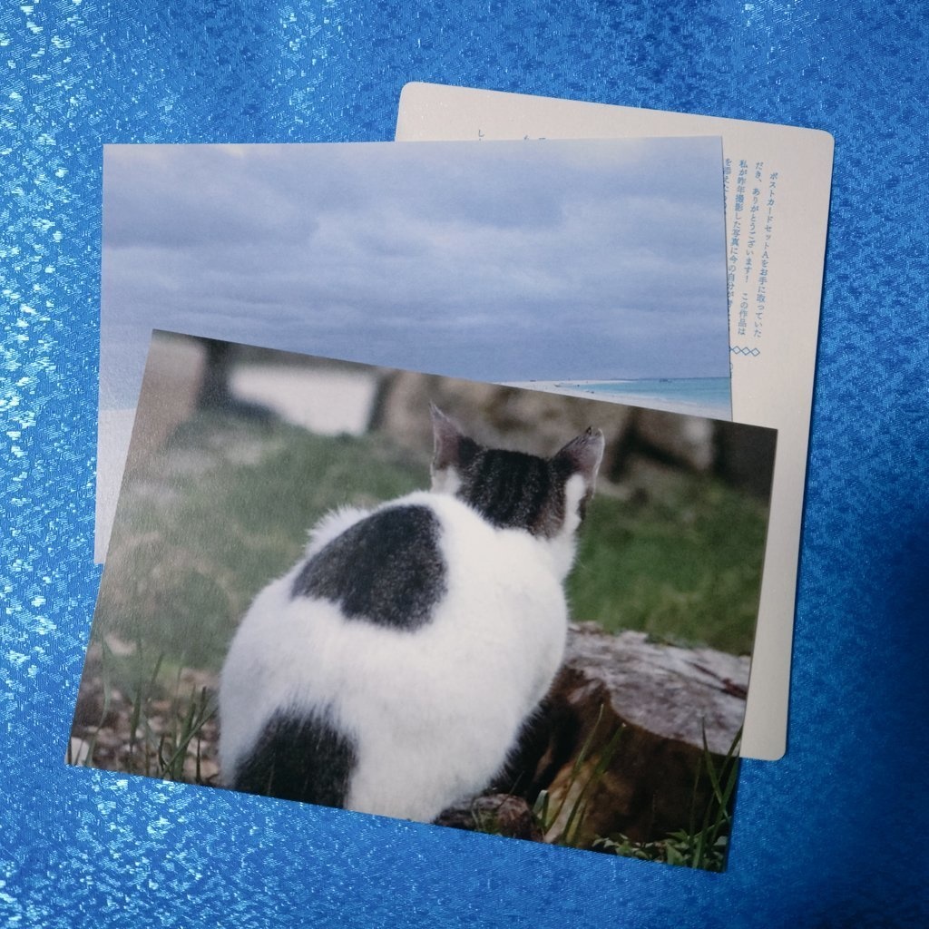 詩つきカードセット