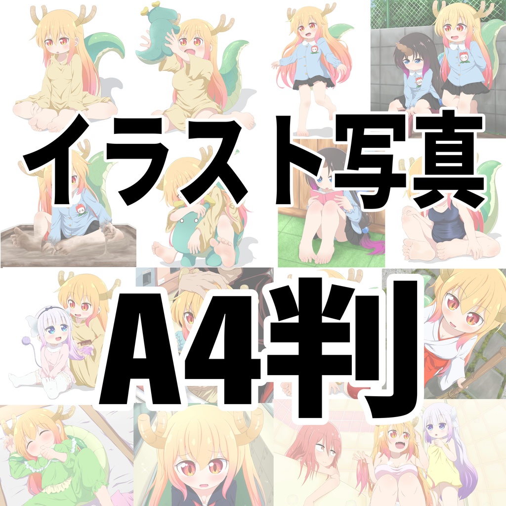 イラスト写真【A4判】