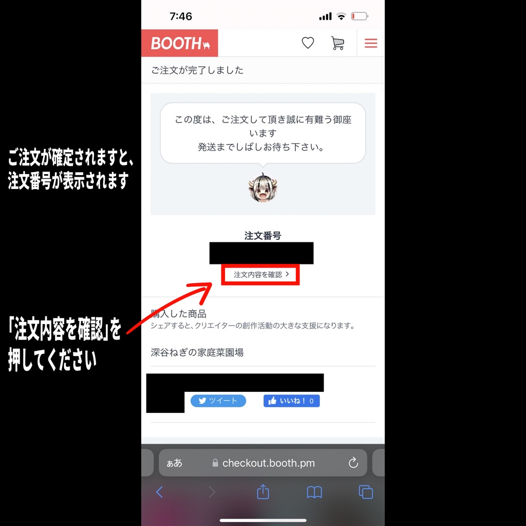 イラスト写真【はがき判】