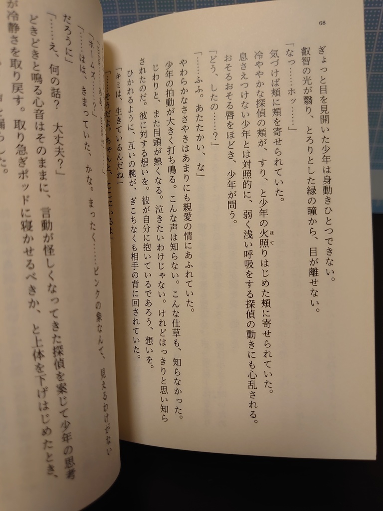 【再販分完売】シャドウ・ボーダー・バイト