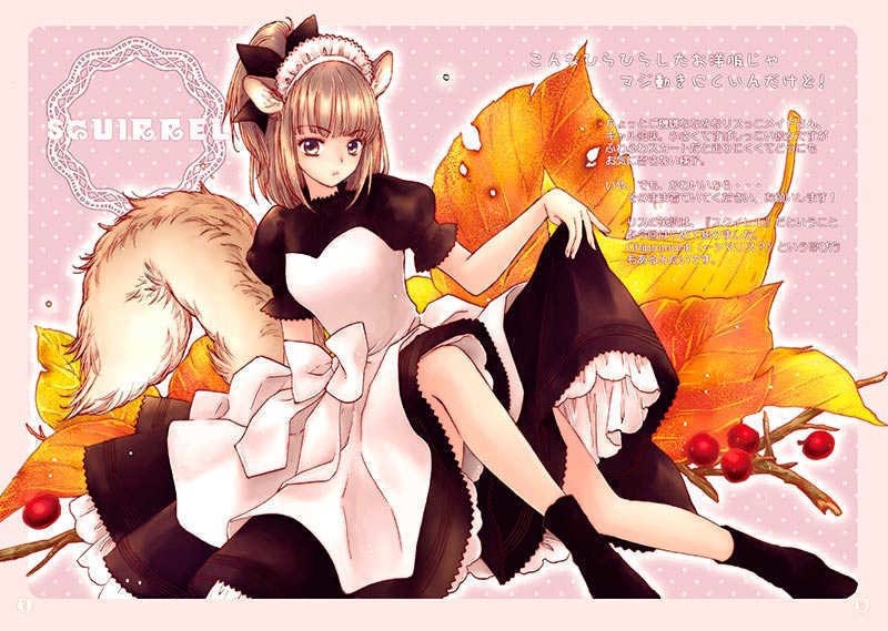 【既刊本 椋本夏夜・佐倉汐合同誌】けもめいど。