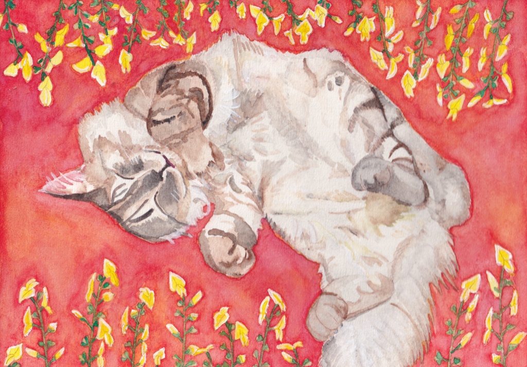 うちの子記念日 3/12