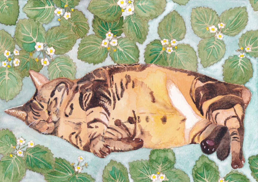 うちの子記念日 4/13 ポストカード