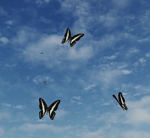 【蝶々パーティクル】アオスジアゲハ / Common Bluebottle