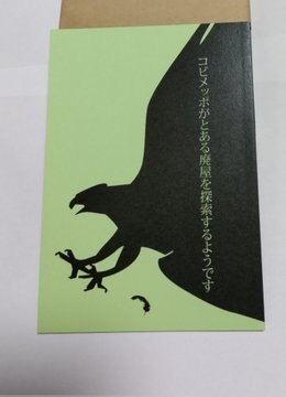 コビメッポがとある廃屋を探索するようです