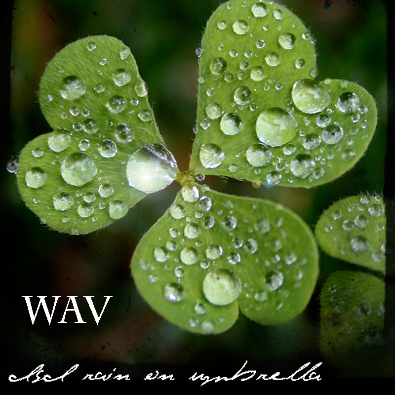 雨音音源 サンプルパック『傘にあたる雨音』WAV DSD録音 DTM作曲用効果音
