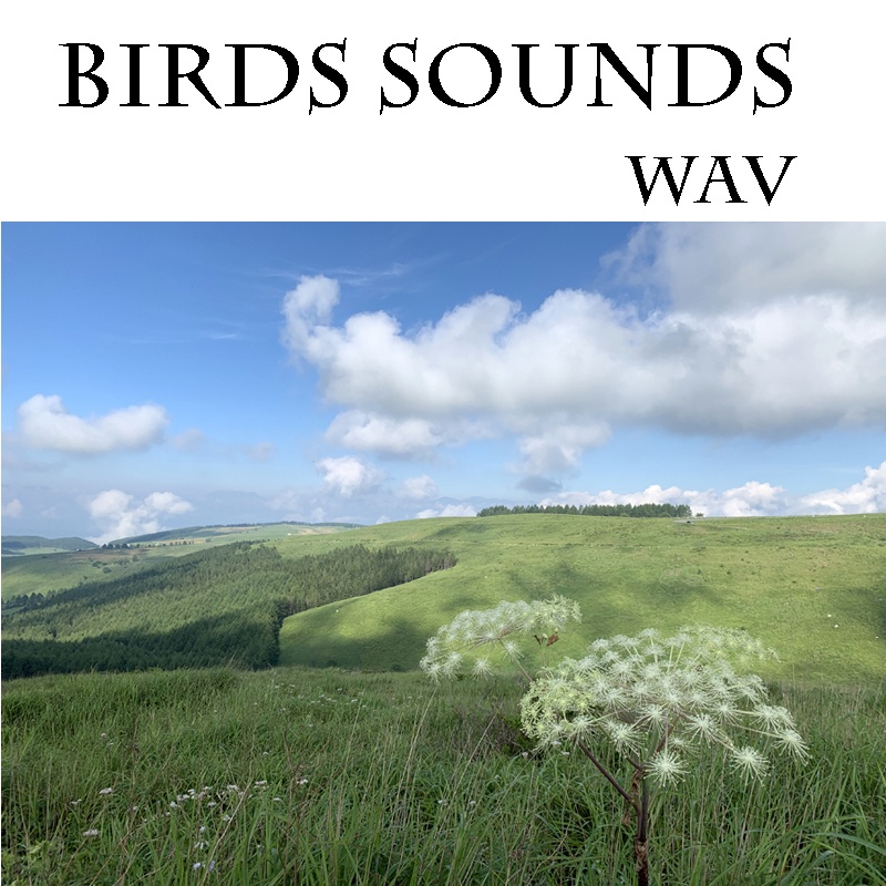 鳥の鳴き声 音源 サンプルパック『霧ヶ峰高原の鳥の声』　DTM作曲用効果音　DSD録音