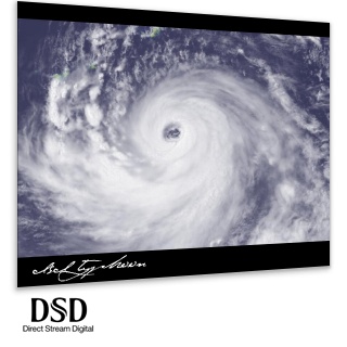 Dtm作曲用効果音 台風の暴風に揺れる森 Dsd録音 Crazysound Booth