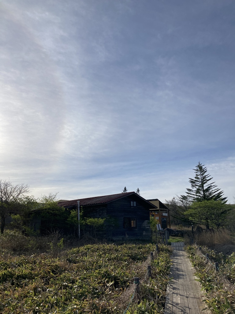 蛙 音源 サンプルパック【バイノーラル録音】八島湿原のシュレーゲルアオガエルの蛙鳴【環境省 残したい"日本の音風景100選"】【効果音】【ヒーリング】【癒し】【音楽用効果音】【DSD録音】【ハイレゾ】