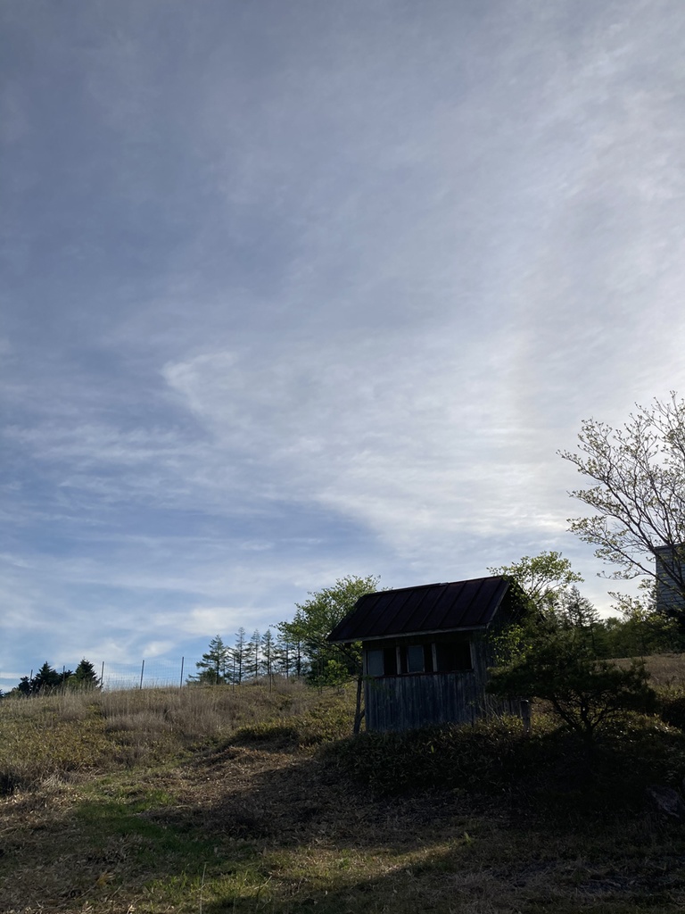 蛙 音源 サンプルパック【バイノーラル録音】八島湿原のシュレーゲルアオガエルの蛙鳴【環境省 残したい"日本の音風景100選"】【効果音】【ヒーリング】【癒し】【音楽用効果音】【DSD録音】【ハイレゾ】
