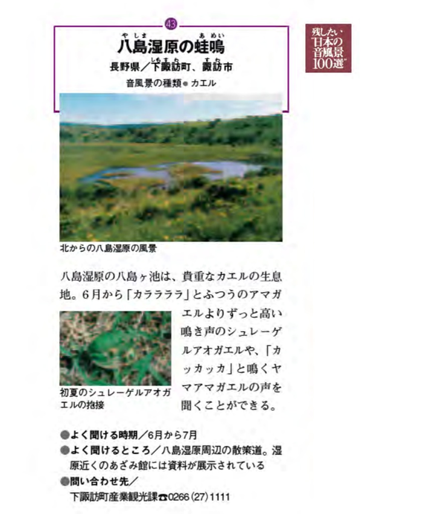 蛙 音源 サンプルパック【バイノーラル録音】八島湿原のシュレーゲルアオガエルの蛙鳴【環境省 残したい"日本の音風景100選"】【効果音】【ヒーリング】【癒し】【音楽用効果音】【DSD録音】【ハイレゾ】