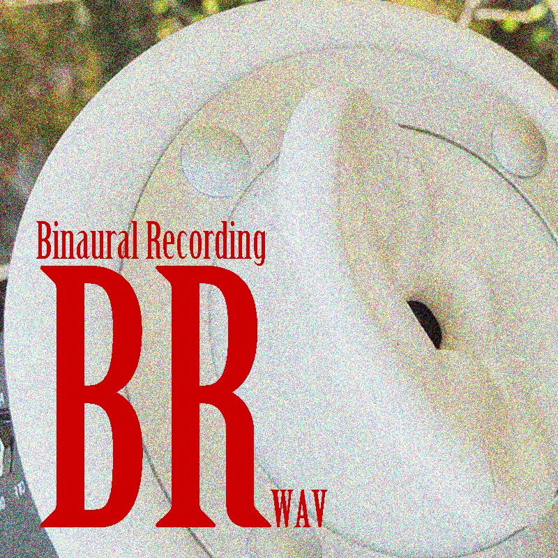 蝉の鳴き声音源 サンプルパック【バイノーラル録音】白樺湖 エゾハルゼミと鳥の大合唱【効果音】【ヒーリング】【癒し】【音楽用効果音】】【DSD録音】【ハイレゾ】