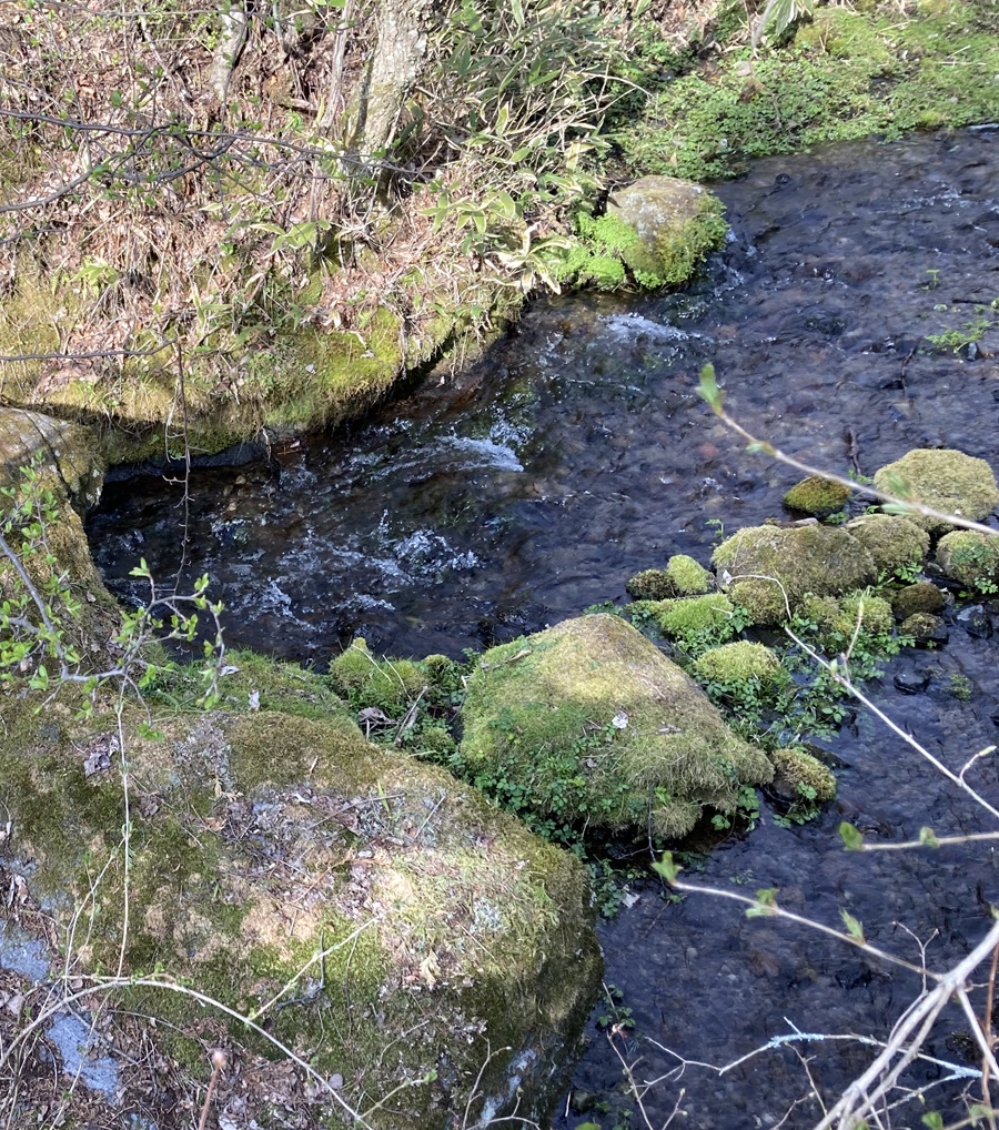 清流 音源 サンプルパック【バイノーラル録音】高原の清流 WAV【癒し】【ヒーリング】【効果音】【音楽用効果音】【DSD録音】【ハイレゾ】