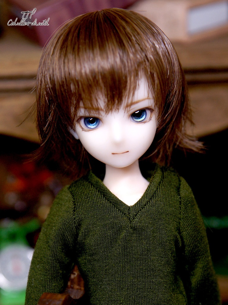  1/6ドール向けヘッド TTP-01[ALFA]