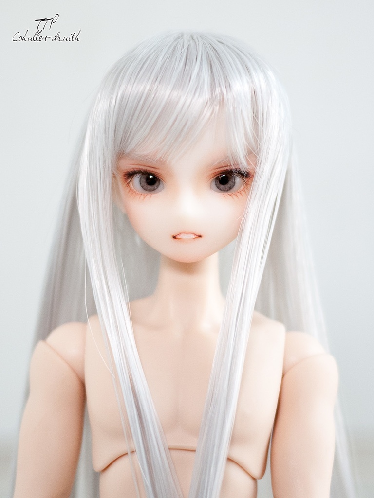  1/6ドール向けヘッド TTP-01[ALFA]