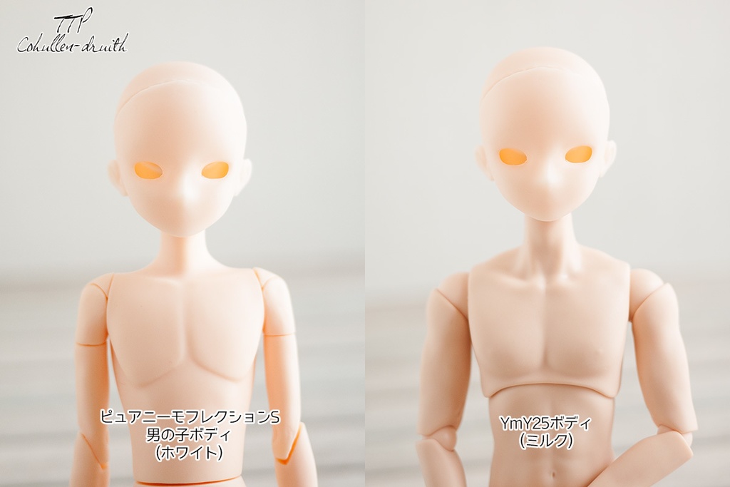  1/6ドール向けヘッド TTP-01[ALFA]