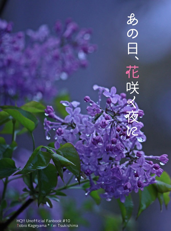 あの日、花咲く夜に