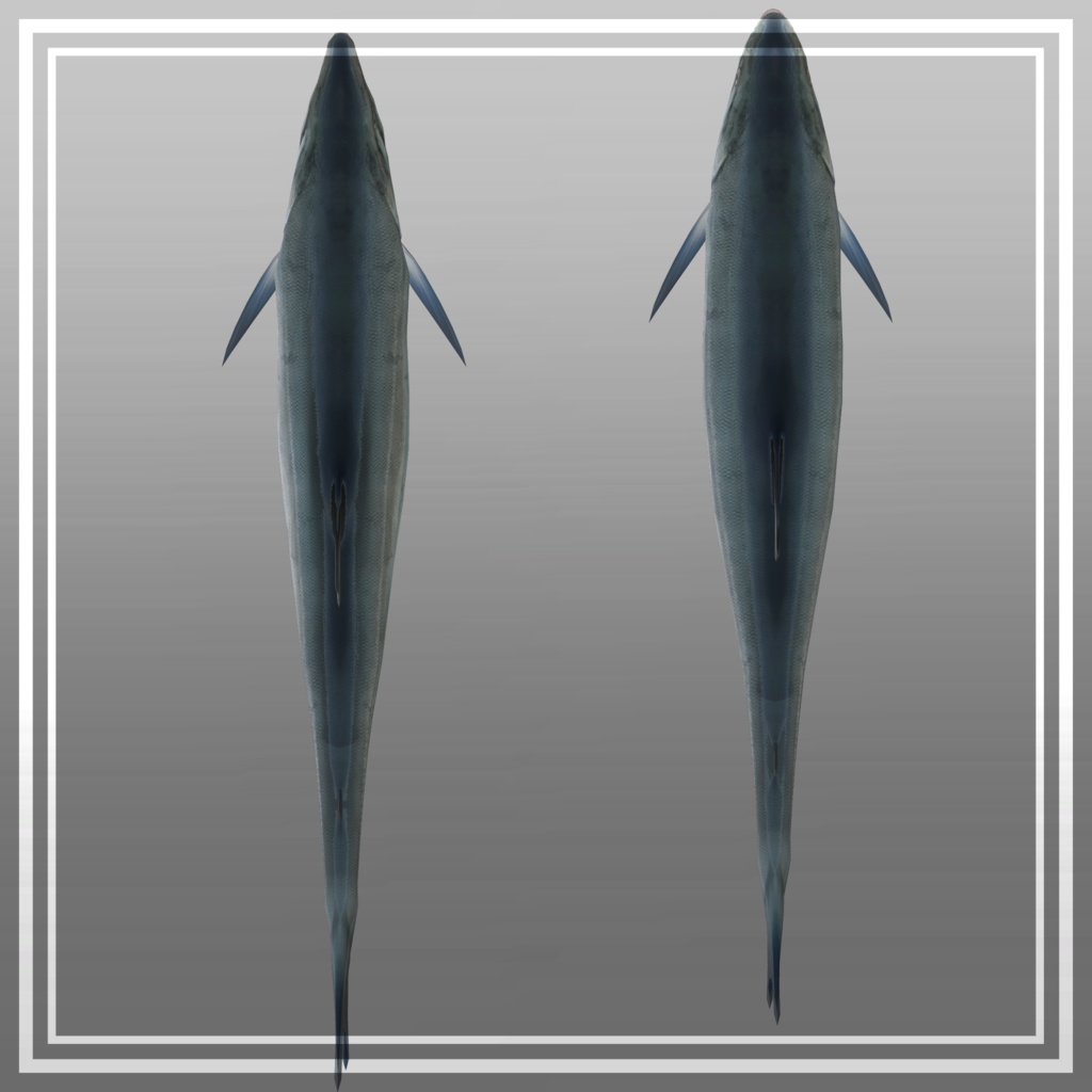 〈無料版あり〉サケ 鮭 しゃけ サーモン