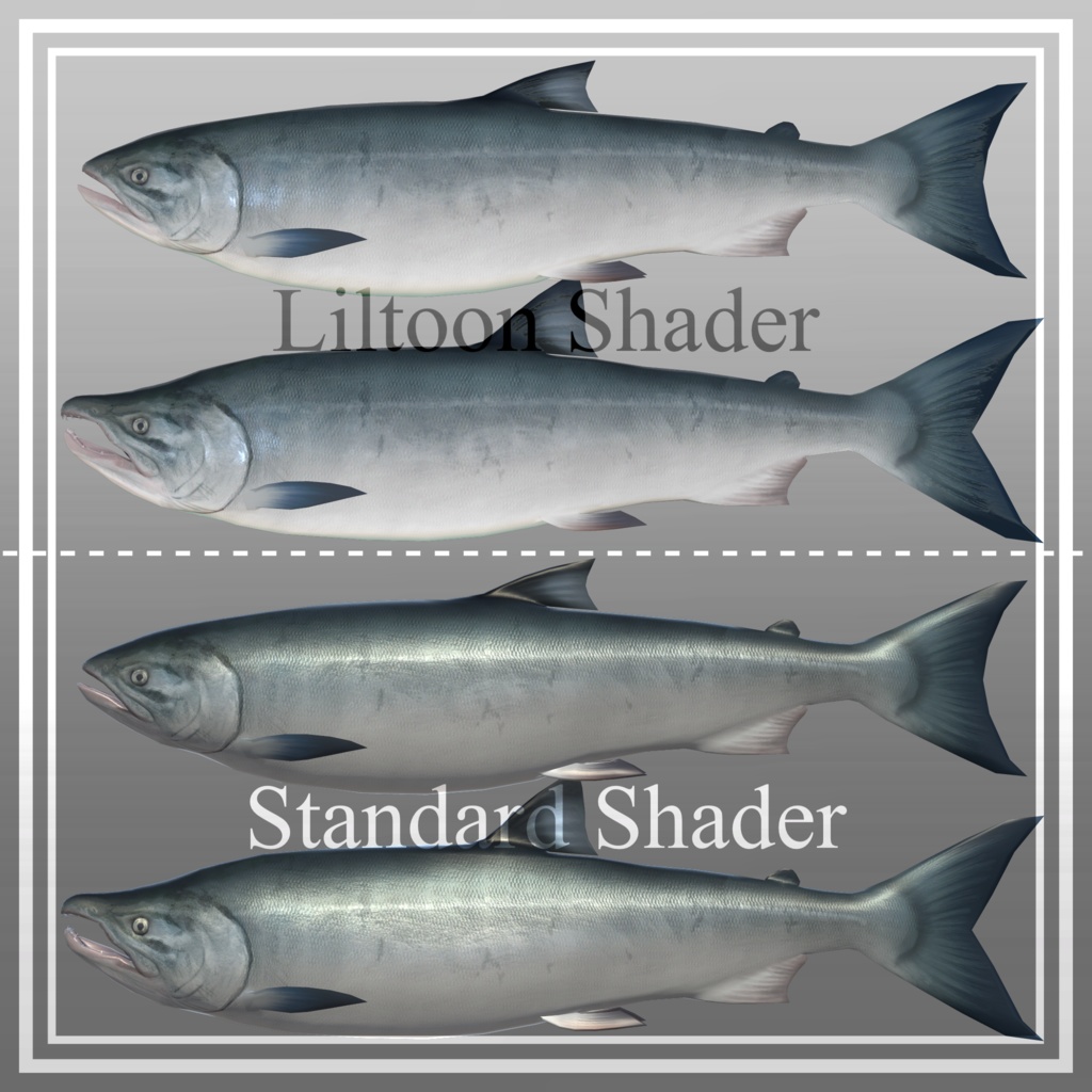 〈無料版あり〉サケ 鮭 しゃけ サーモン