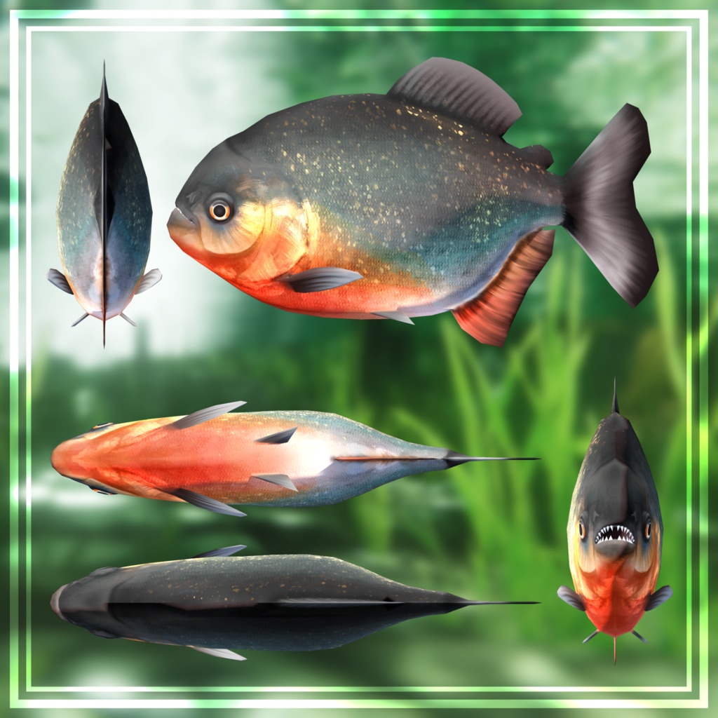 3Dモデル「ピラニア」