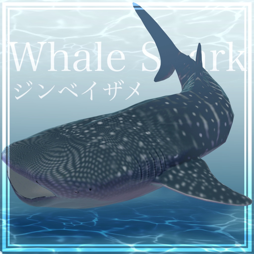 3Dモデル　ジンベイザメ　ジンベエザメ　Whale Shark