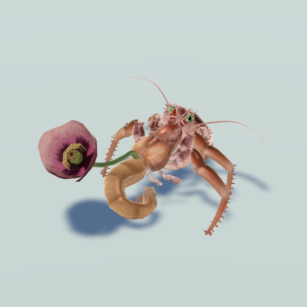 VRC向け3Dアバター「ヤドカリ Harmit Crab」