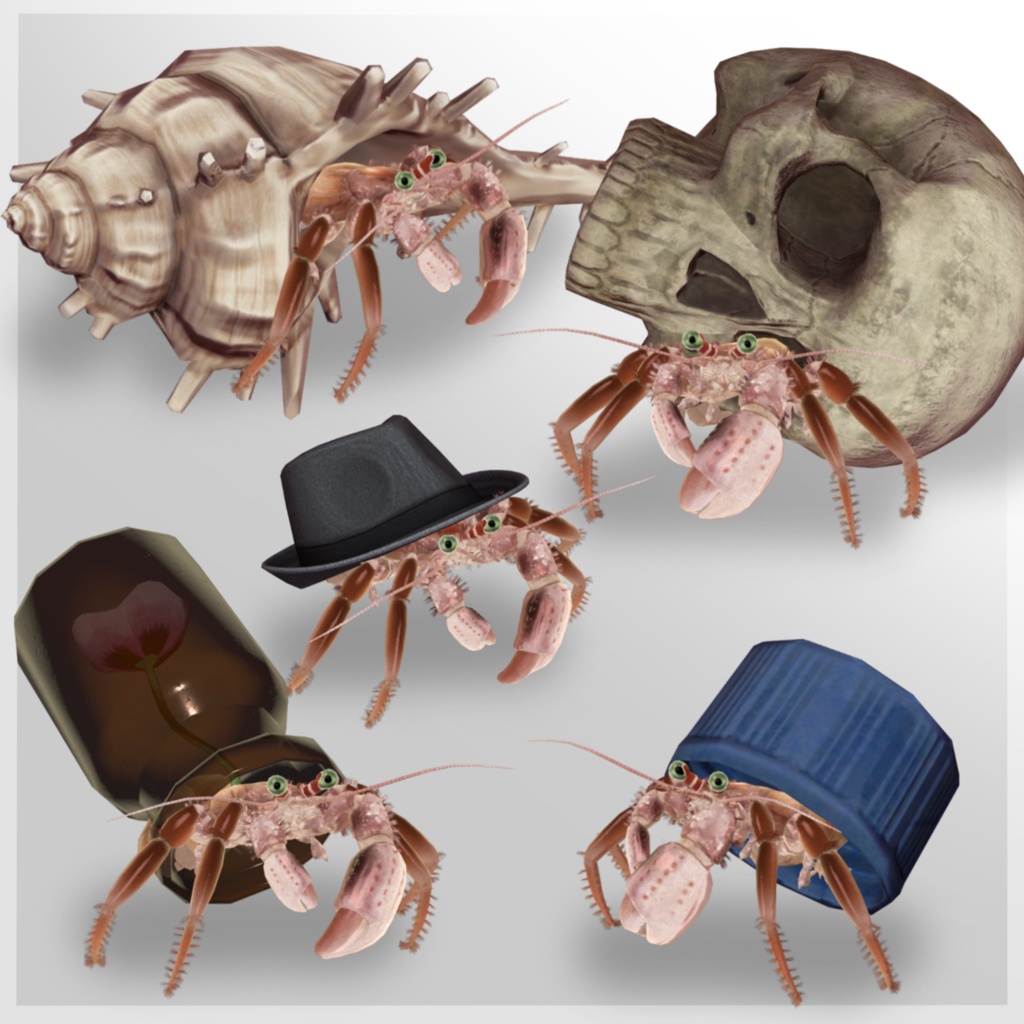 VRC向け3Dアバター「ヤドカリ Harmit Crab」