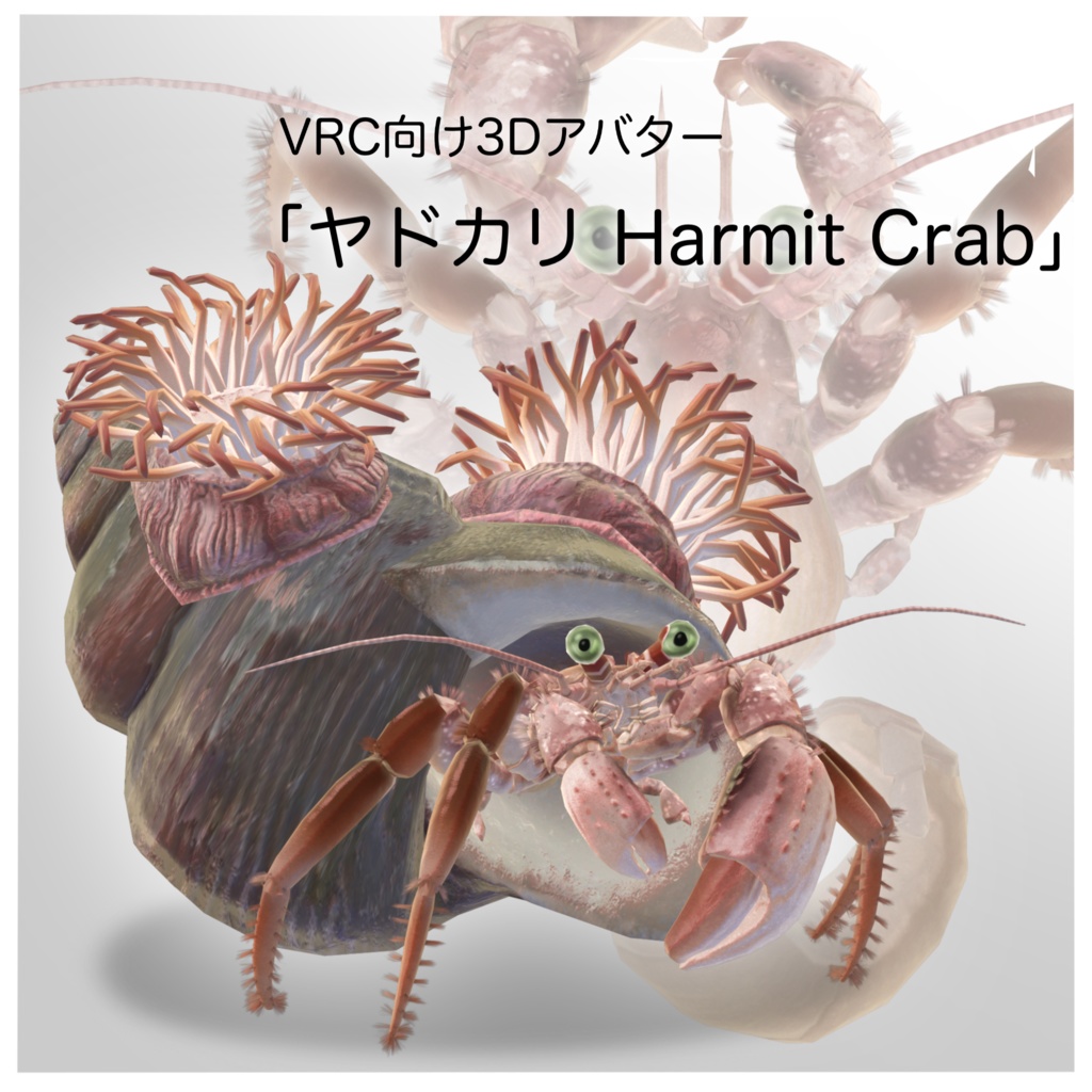 VRC向け３Dアバター「ヤドカリ　Harmit Crab」