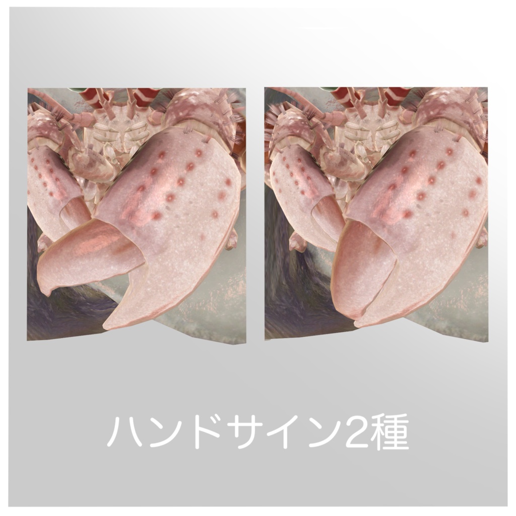 VRC向け3Dアバター「ヤドカリ Harmit Crab」