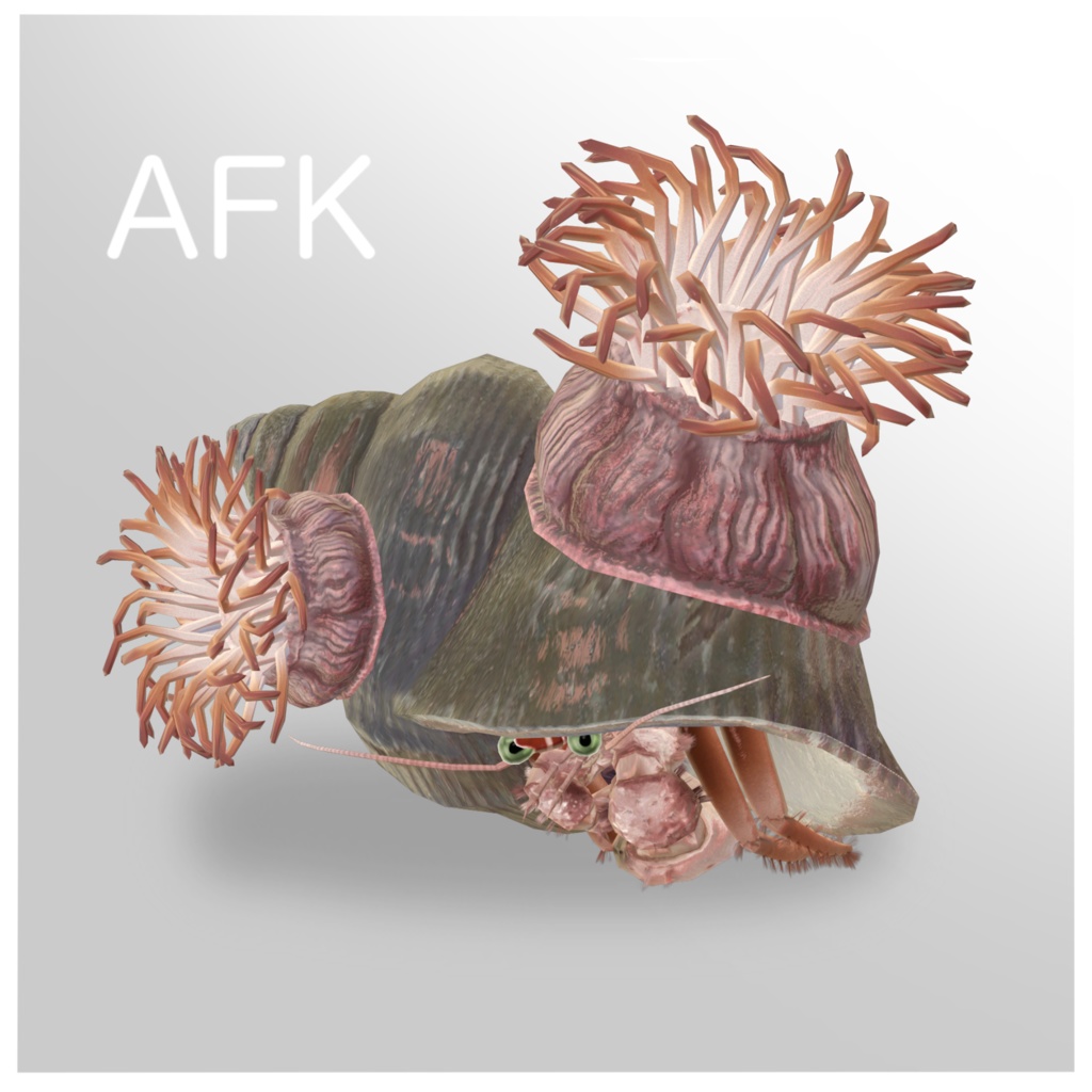 VRC向け3Dアバター「ヤドカリ Harmit Crab」