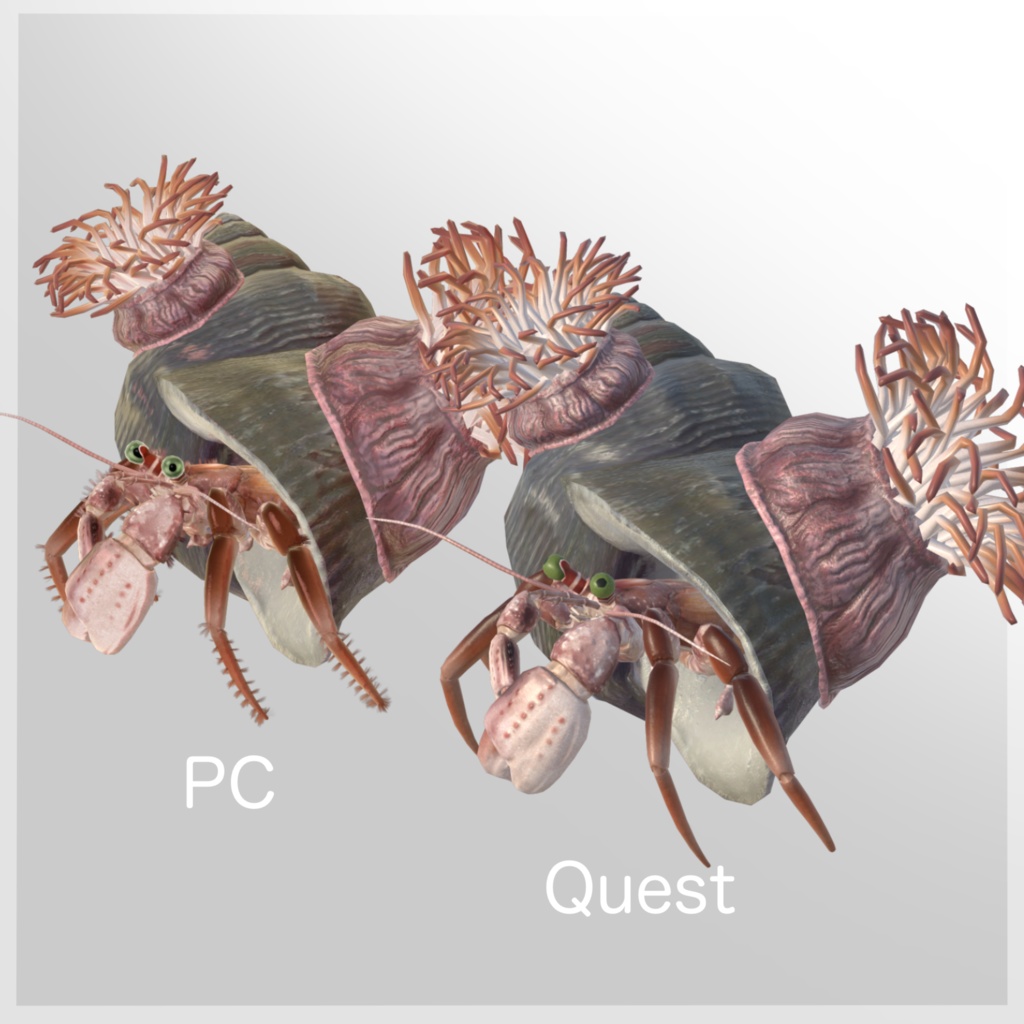 VRC向け3Dアバター「ヤドカリ Harmit Crab」