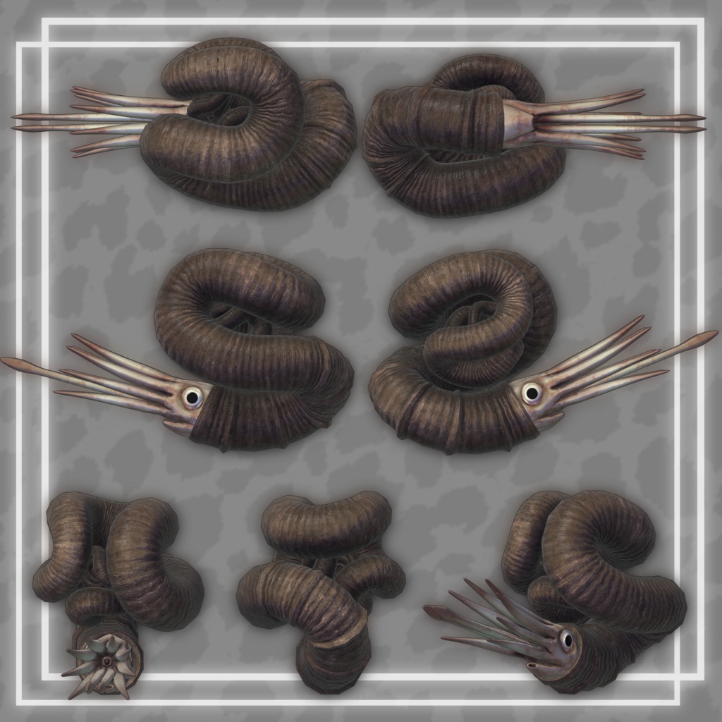 3Dモデル《ニッポニテス・ミラビリス Nipponites mirabilis》