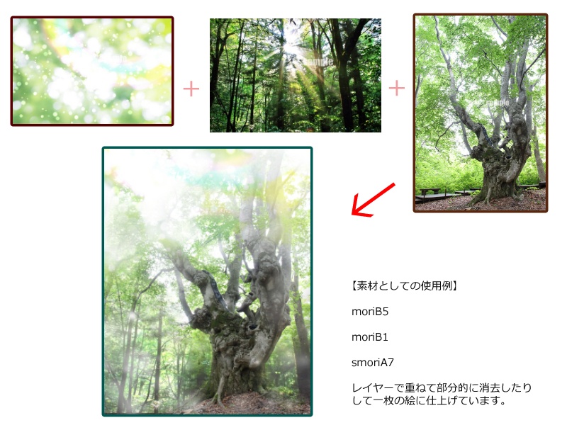 森の素材集 イラスト背景などに たっぷり33枚