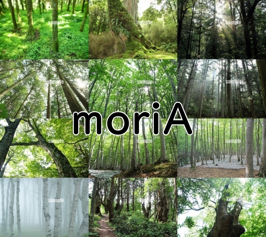 森の素材集 イラスト背景などに たっぷり33枚