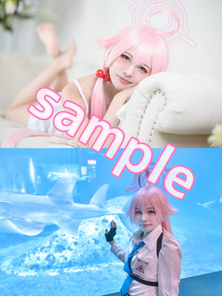 【C106新刊】小鳥遊ホシノまとめ写真集【ブルアカ】