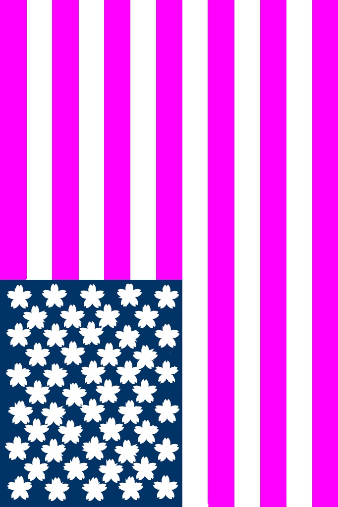 米日クリアファイル