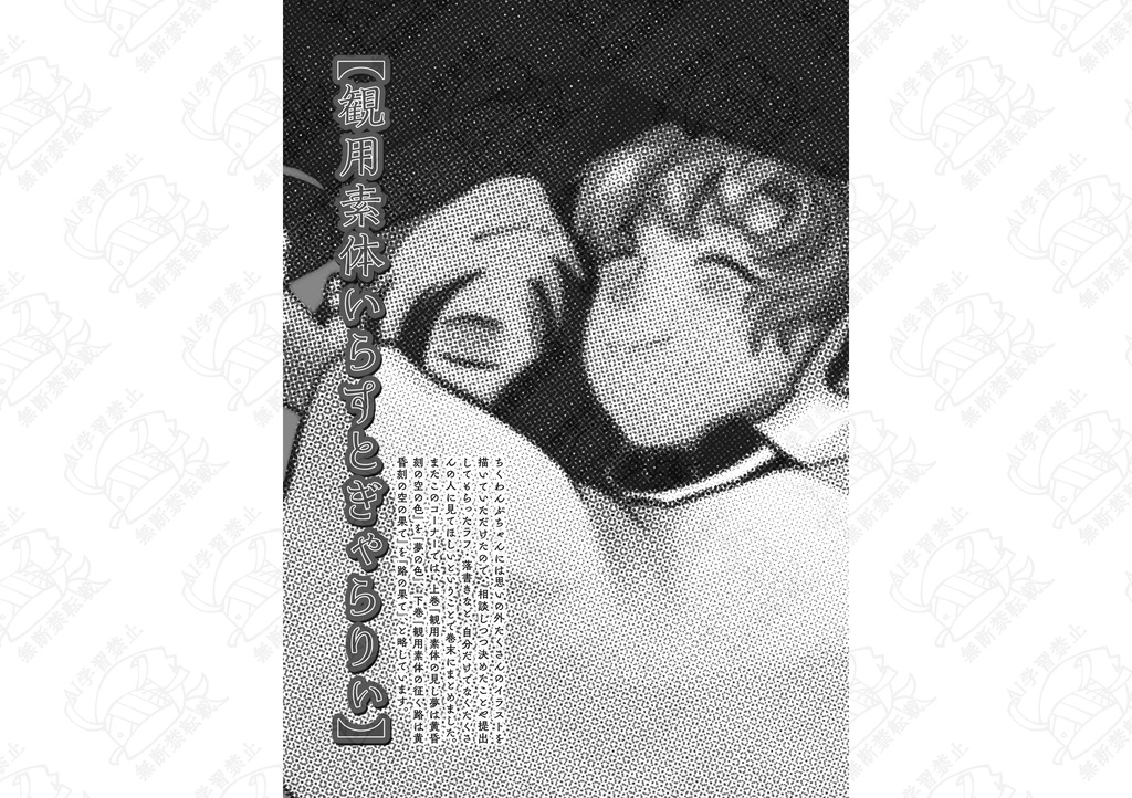 観用素体の征く路は黄昏刻の空の果て