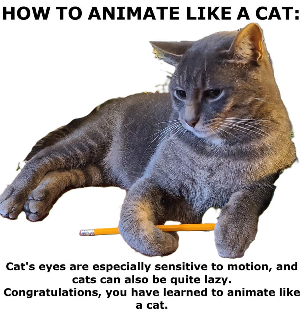 How To Animate Like A Cat!