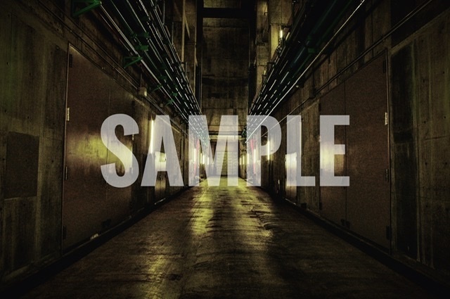 SANSEVIERIA(水処理場写真集)