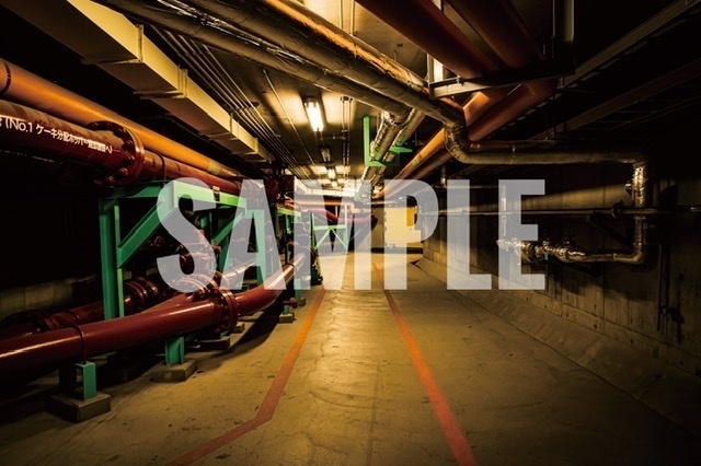 SANSEVIERIA(水処理場写真集)