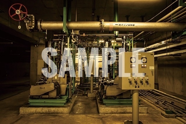 SANSEVIERIA(水処理場写真集)