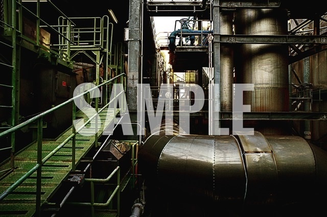 SANSEVIERIA(水処理場写真集)