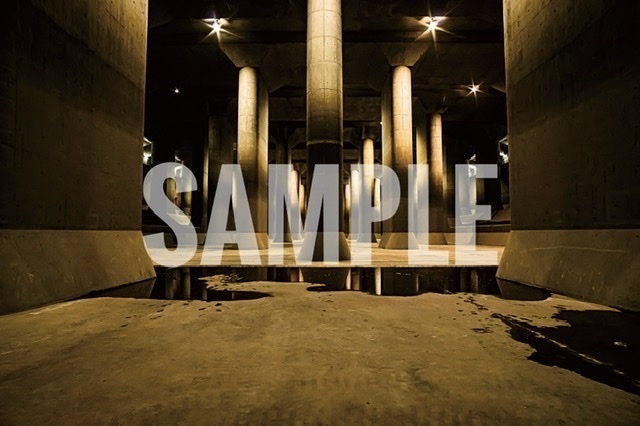 SANSEVIERIA(水処理場写真集)