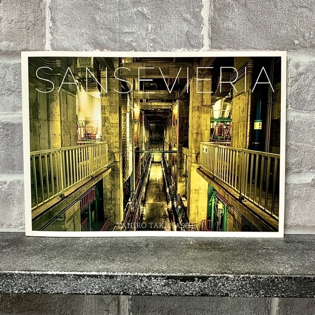 SANSEVIERIA(水処理場写真集)