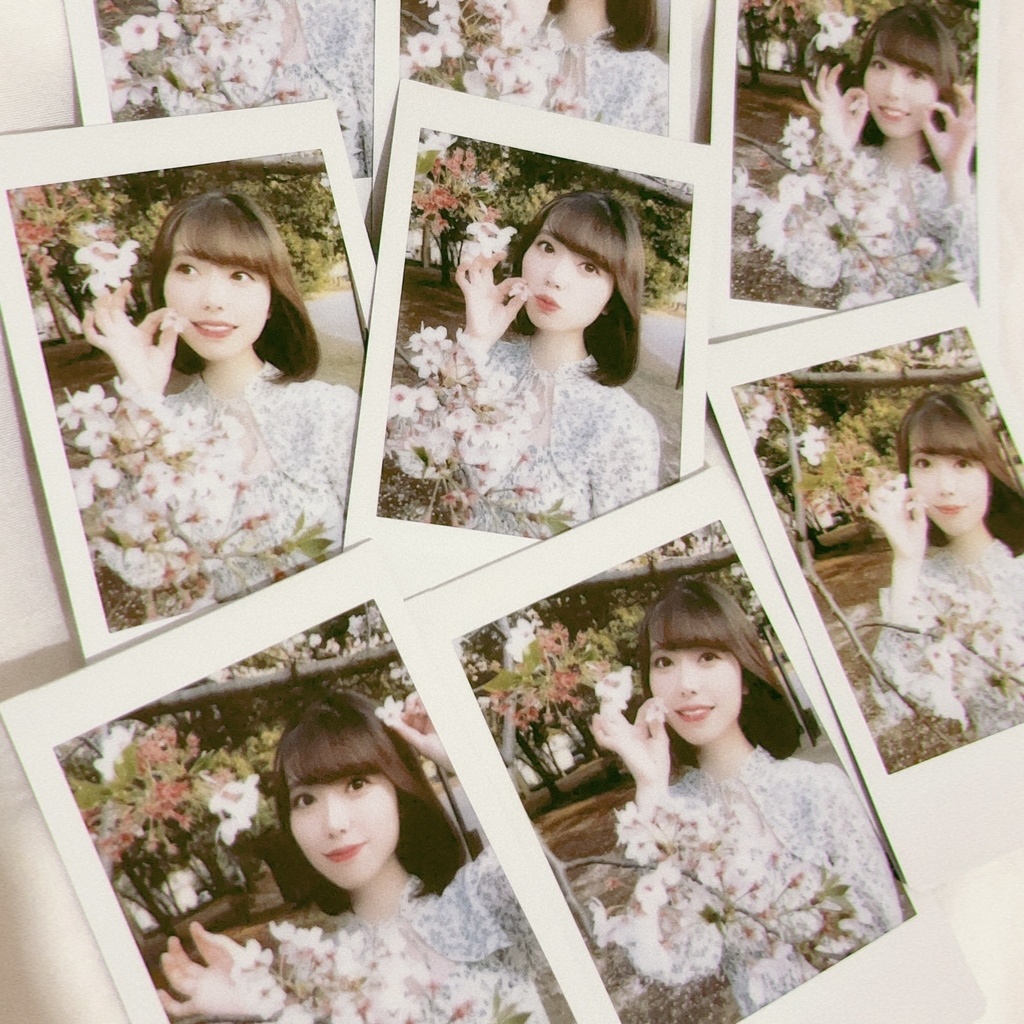 さくらお花見チェキ🌸