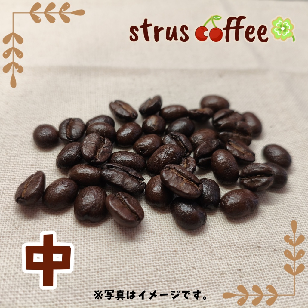 【7月分〆在庫のみ】ストラスコーヒー|7月末発送分|100g単品 簡易梱包