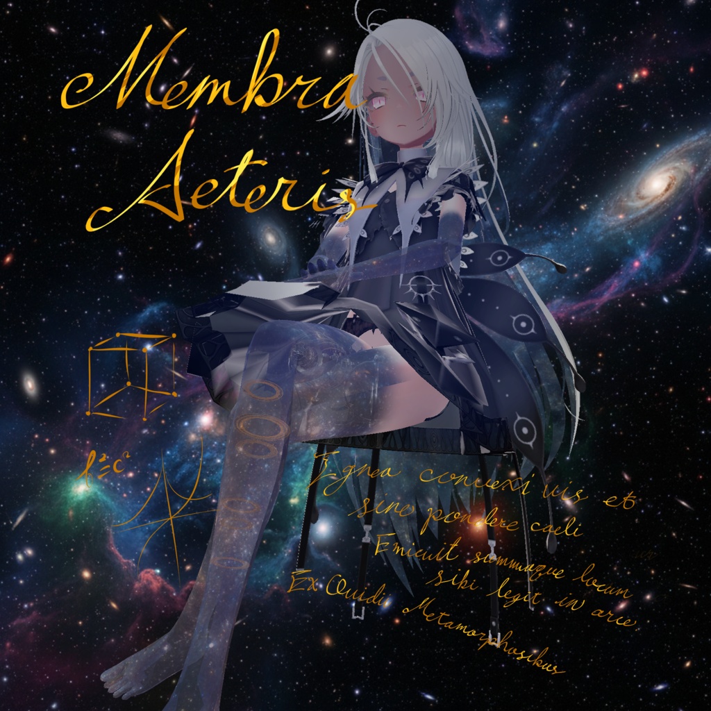 【新年割引】Membra Aetheris【ゾメちゃん専用】