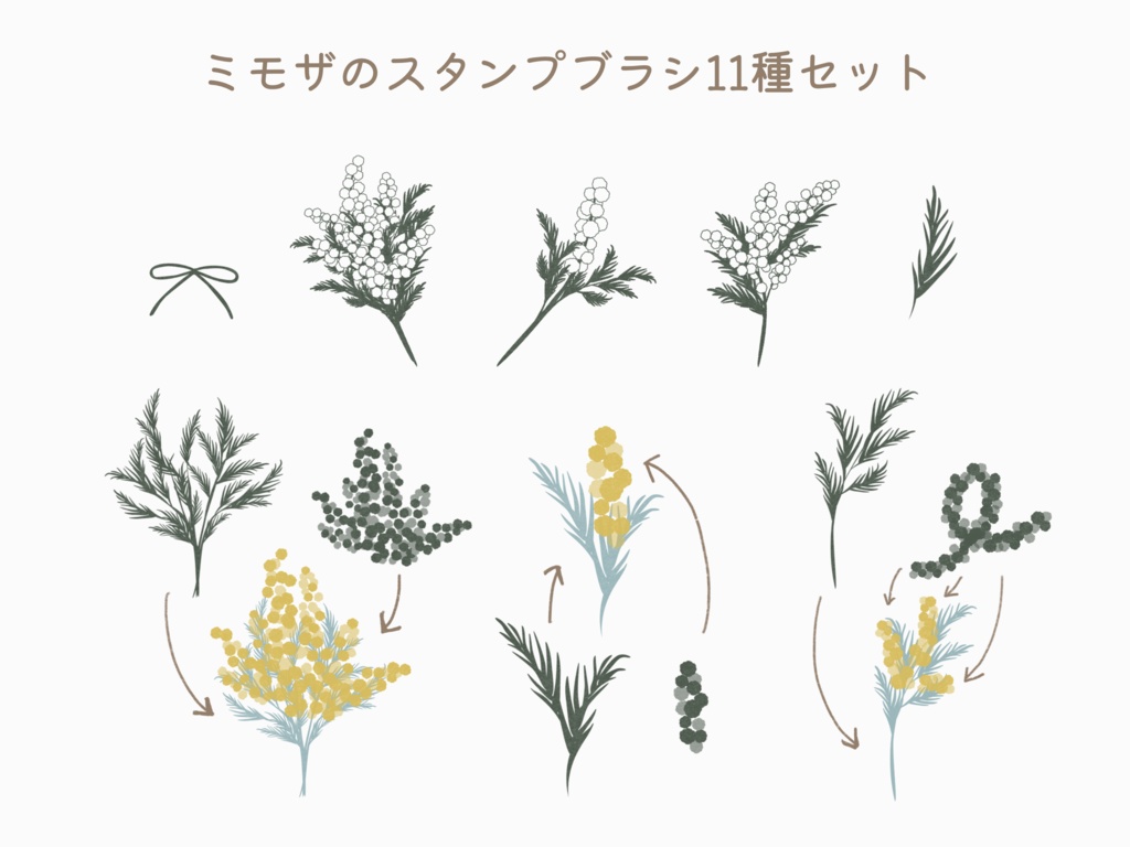 ミモザのスタンプブラシ11種(Procreate用)