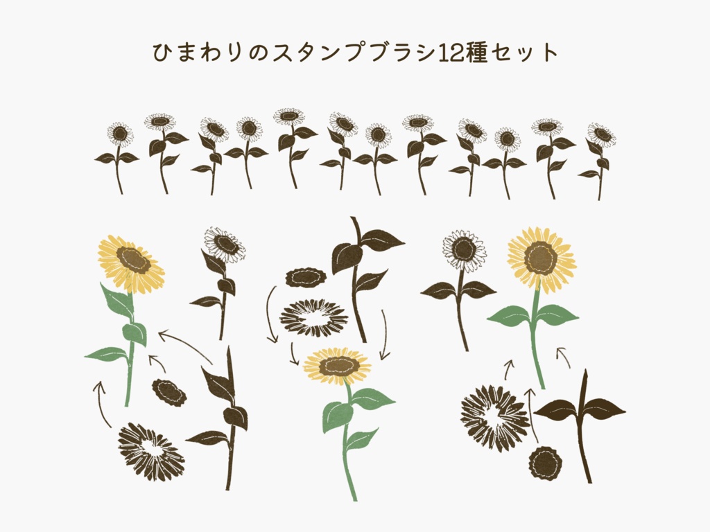 ひまわりのスタンプブラシ12種(Procreate用)