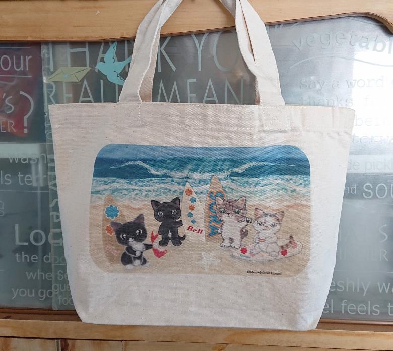 サーフィンキャット ビーチ